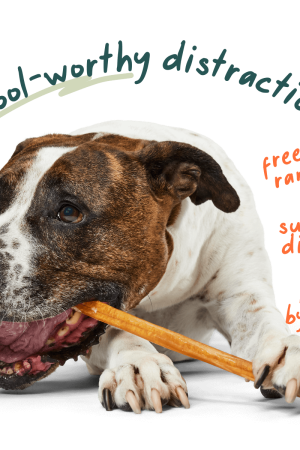 Free Range Bully Sticks