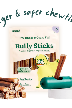 The BullySafe Better Pack