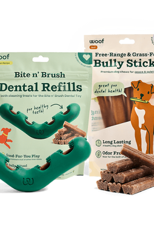 The Bite n' Brush Summer Breath Pack