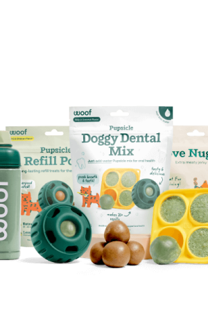 Dental Mix Starter Pack