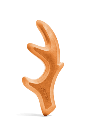 Pumpkin Spice HonestChew